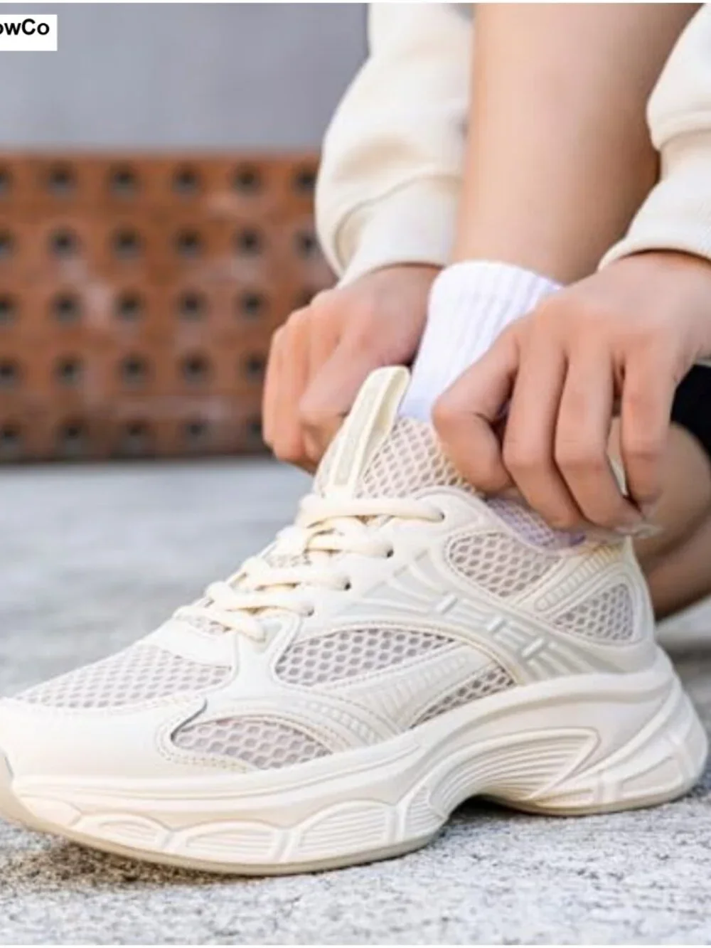 Women's Fashion Sneakers Chunky Breathable Walking Shoes, Mesh Athletic